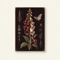 Foxglove Moth Dark Botanical Printable Wall Art Digital Download — image 1