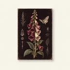 Foxglove Moth Dark Botanical Printable Wall Art Digital Download — image 1